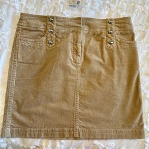 White House Black Market Corduroy Skirt 8 NWT
